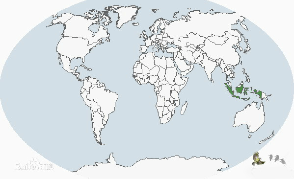 小藍翠鳥分布圖