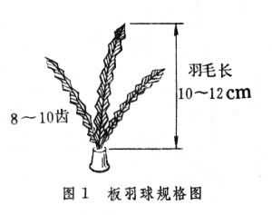 板羽球規格圖