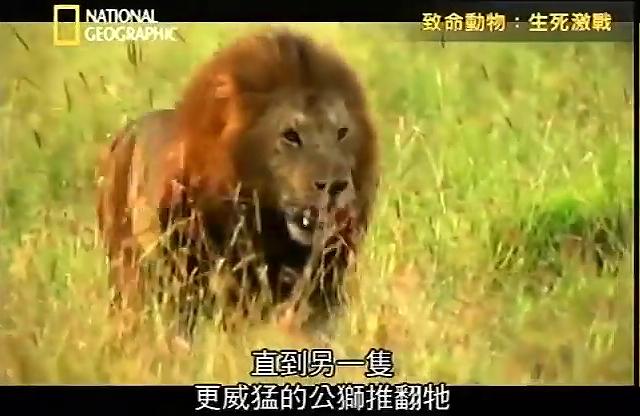 致命動物：生死激戰