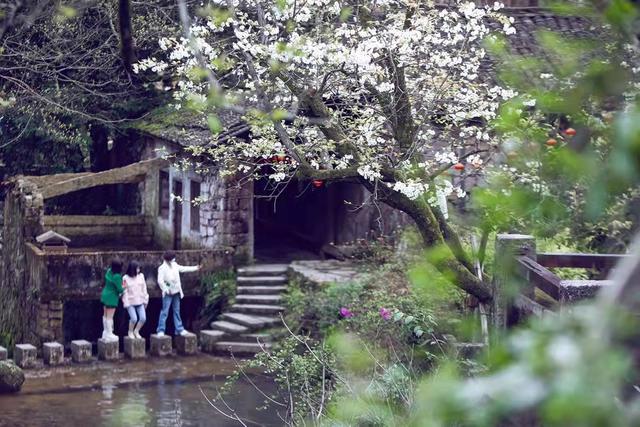 宋韻半山梨花古驛