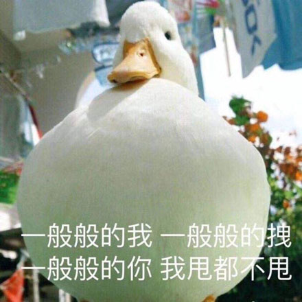 可以但沒必要