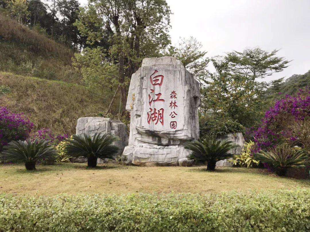 廣州市白江湖森林公園