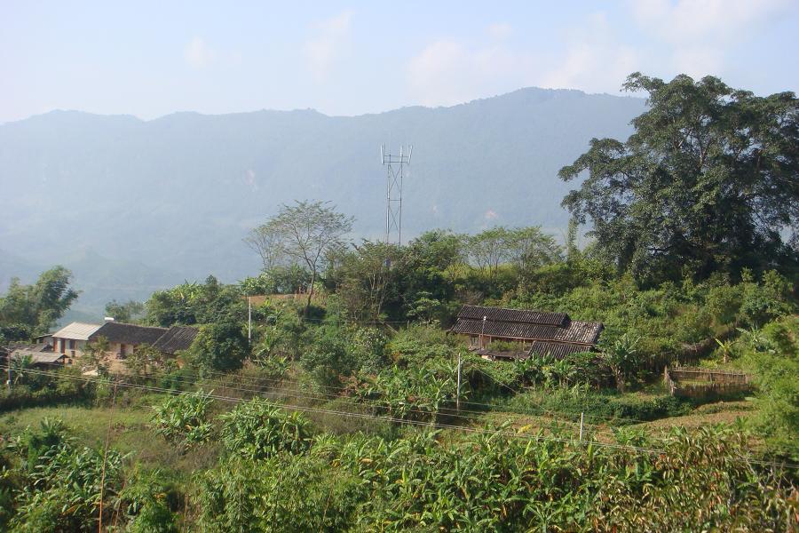 酸香樹自然村