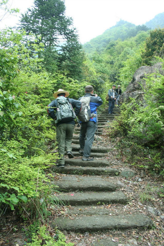 蒼嶺古道