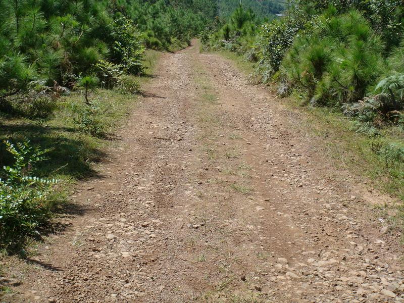 進村道路