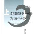 上海民營經濟暨中小企業發展報告