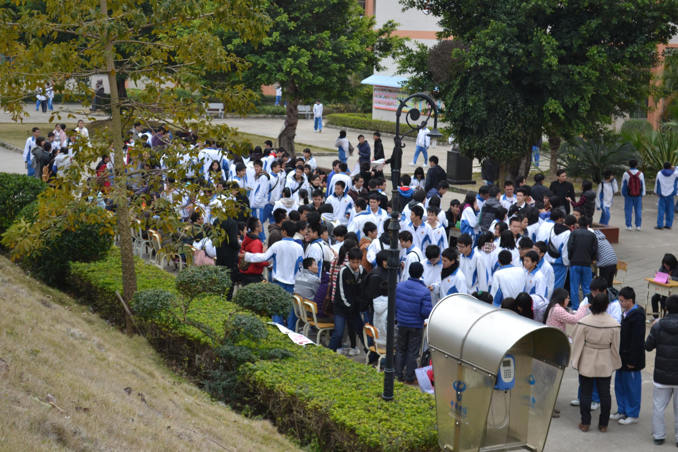 陽春市大學生聯合會