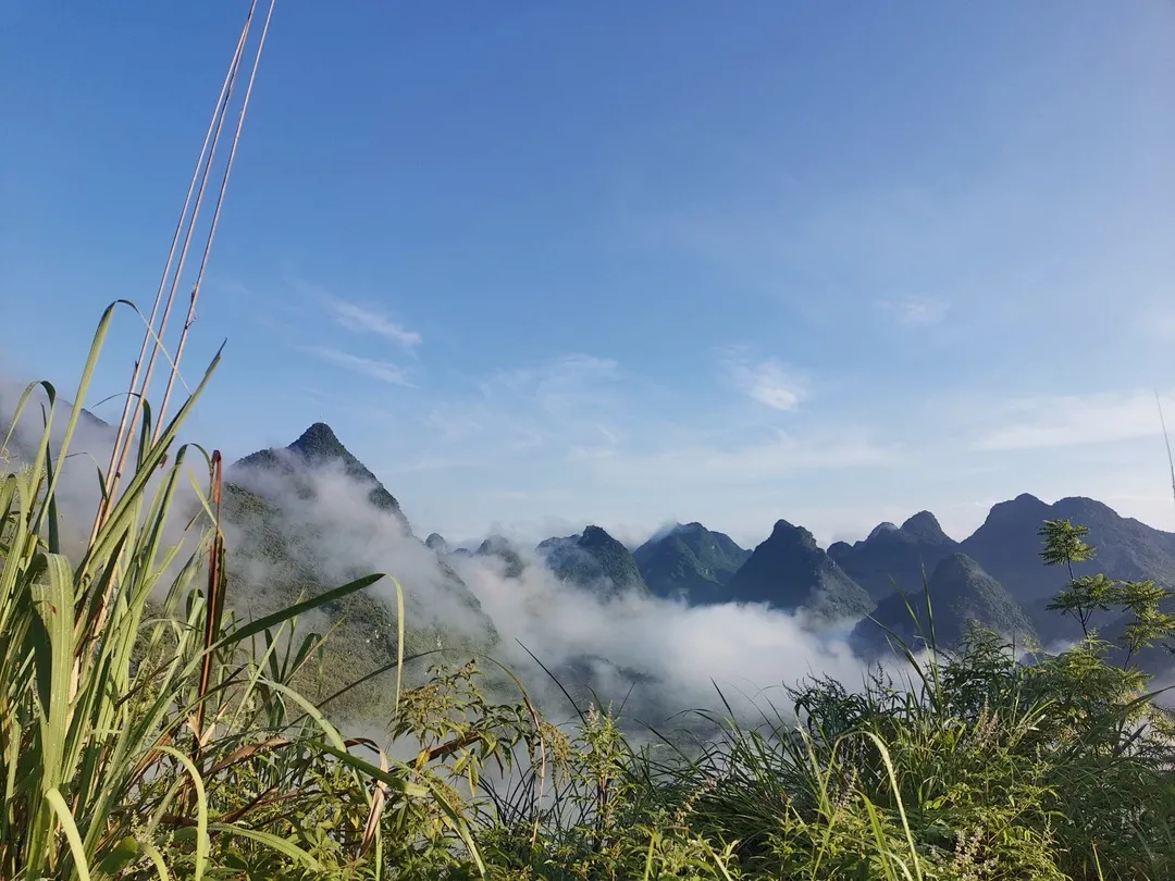 雷洞村(廣西忻城縣紅渡鎮下轄村)