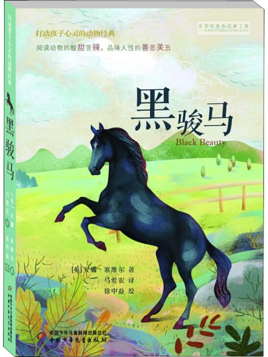 黑駿馬(2017年中國少年兒童出版社出版的圖書)