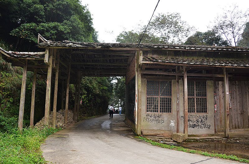 後坪村(廣東省汕頭市潮陽區成田鎮下轄村)