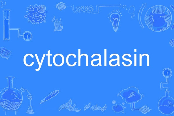 cytochalasin