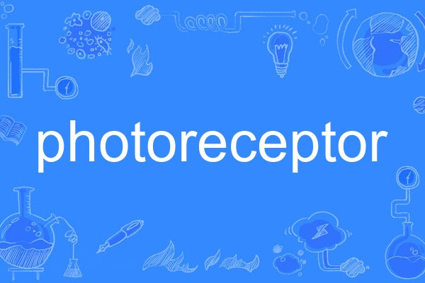 photoreceptor