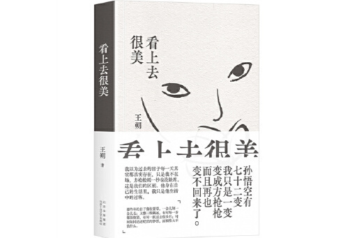 看上去很美(2024年北京十月文藝出版社出版的圖書)