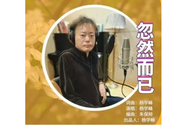 忽然而已(楊學峰演唱的歌曲)