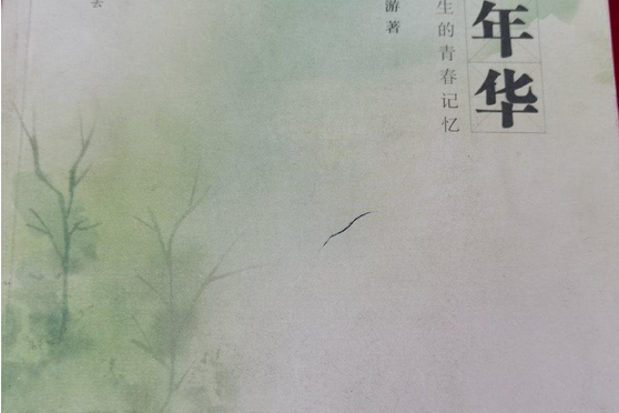 苦澀年華(暨南大學出版社出版的圖書)