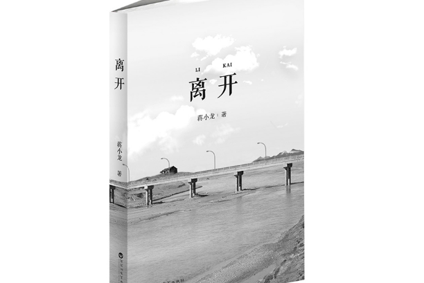 離開(2020年百花洲文藝出版社出版的圖書)