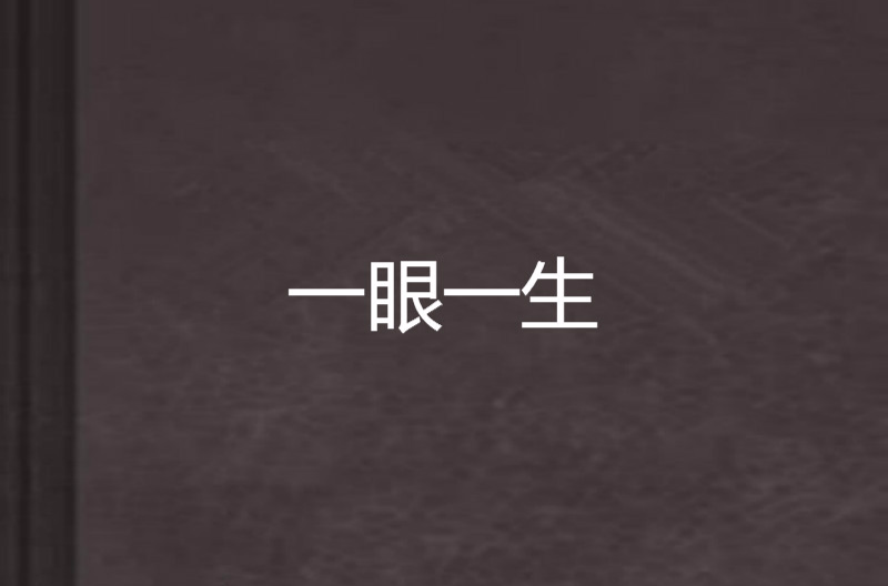 一眼一生(小說)