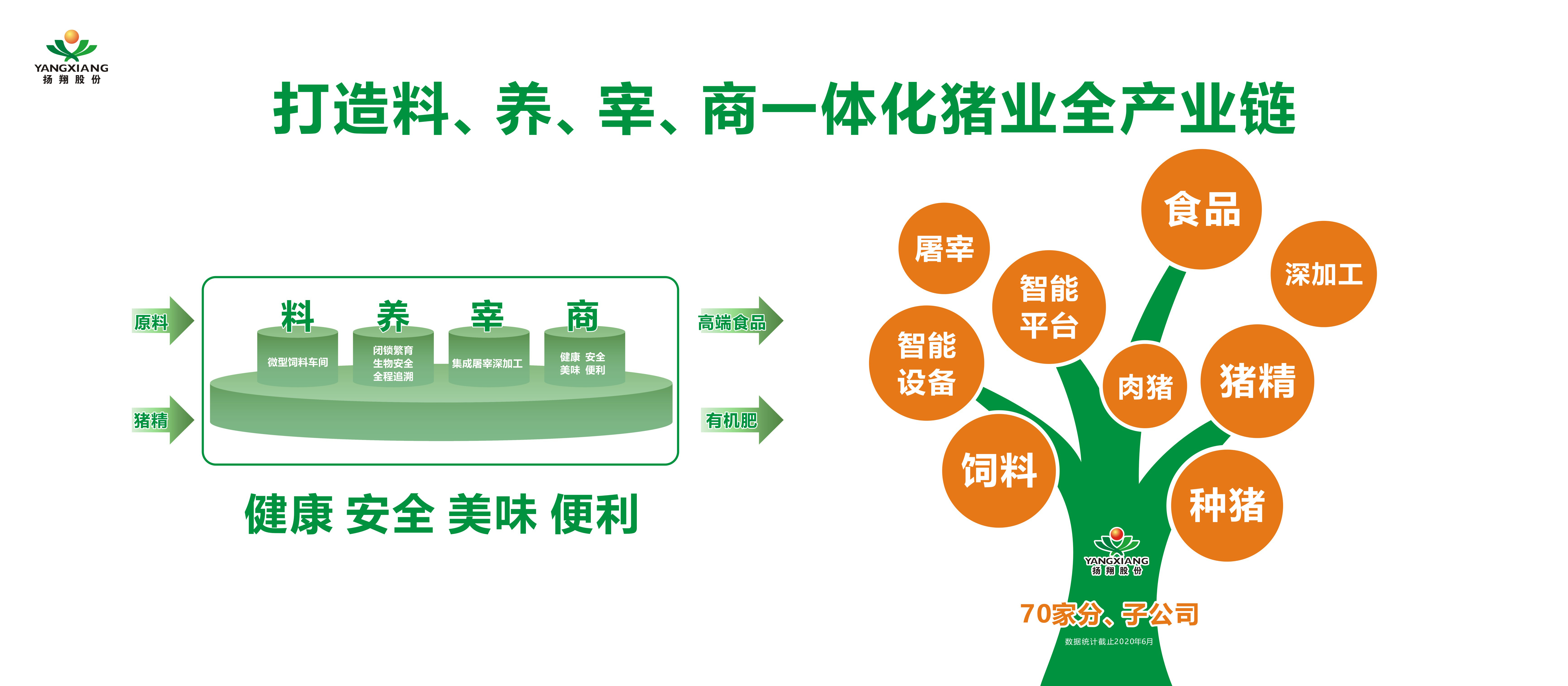 廣西揚翔股份有限公司