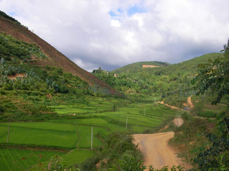 入村道路