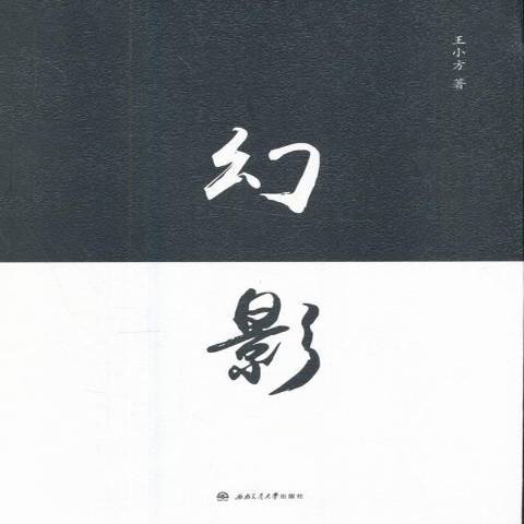 幻影(2017年西南交通大學出版社出版的圖書)