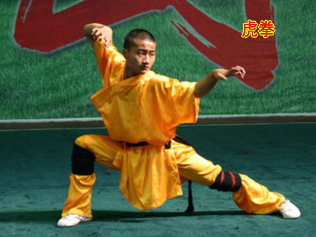 虎拳(中國傳統武術流派之一)