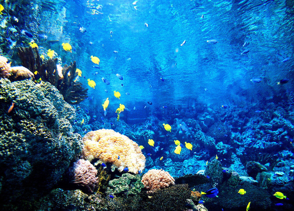 蓬萊水族館