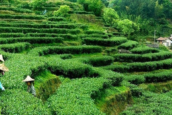 下格村(福建安溪縣桃舟鄉下格村)