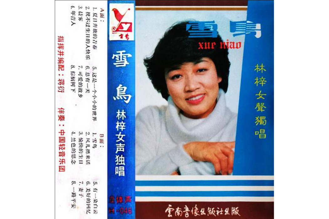 妻子(林梓演唱的歌曲)