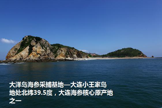 大洋島(中國浙江省島嶼)