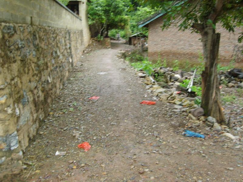 大荒壩村(雲南省西雙版納州勐臘縣易武鄉下轄村)