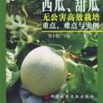 西瓜、甜瓜無公害高效栽培重點、難點與實例(蘇小俊著圖書)