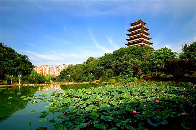 海棠公園(重慶市榮昌區海棠公園)