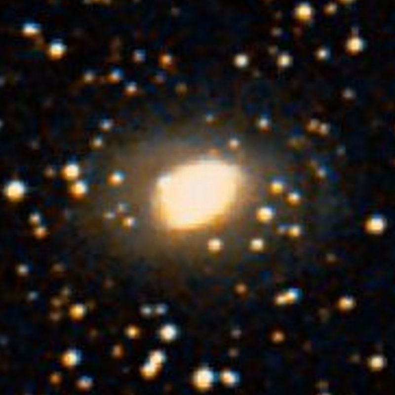 NGC 2501