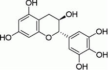 沒食子兒茶素