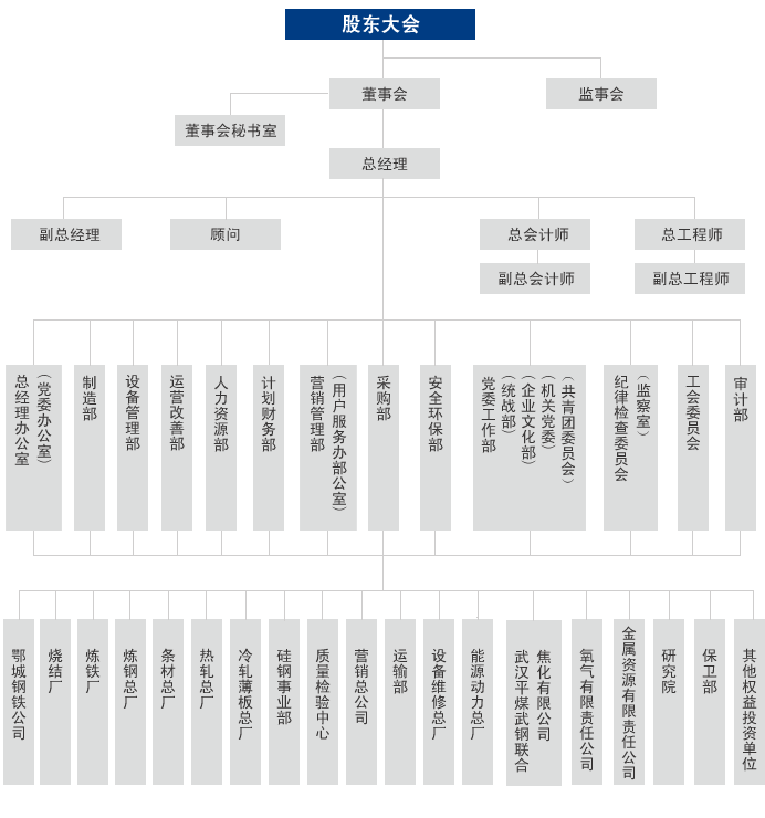 武漢鋼鐵股份有限公司