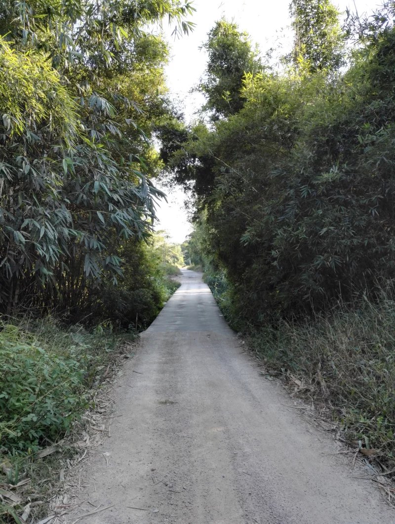 汾水村(廣東揭陽玉湖汾水村)