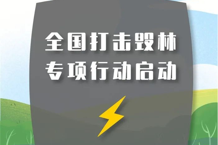 全國打擊毀林專項行動