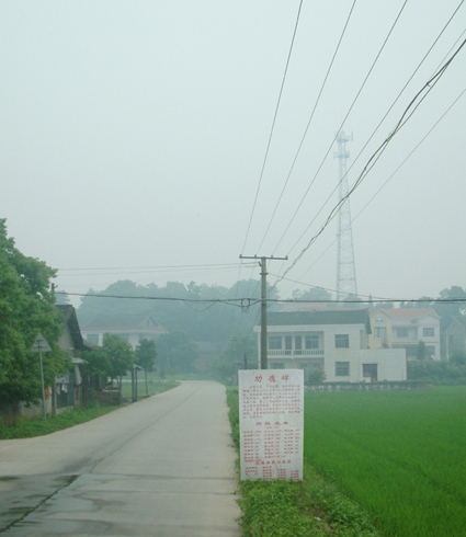 安家沖村