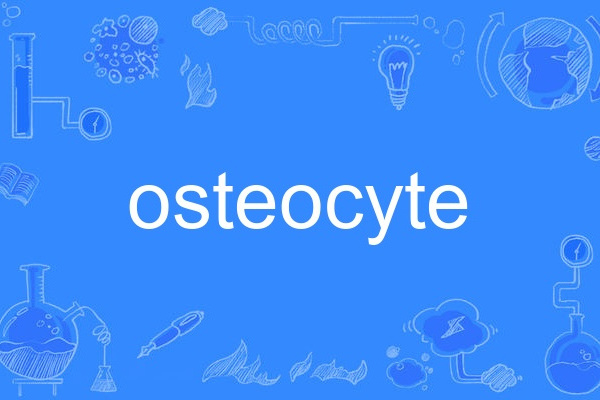 osteocyte