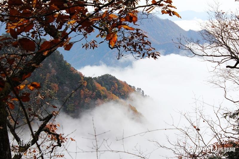 鬼谷嶺景區