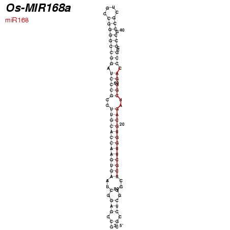 MIR168a