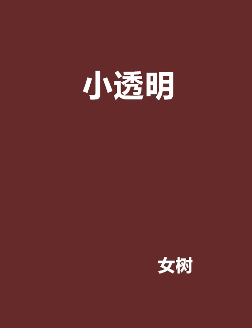 小透明(小說名稱)