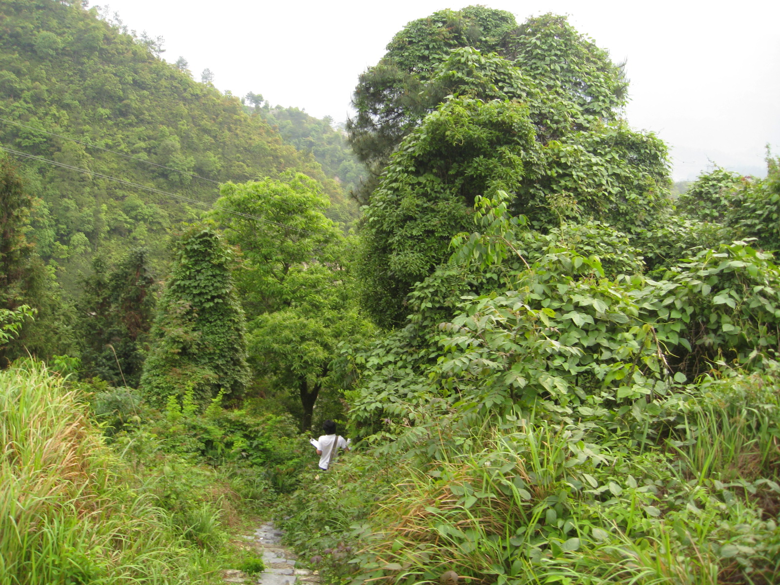 孔山嶺古道