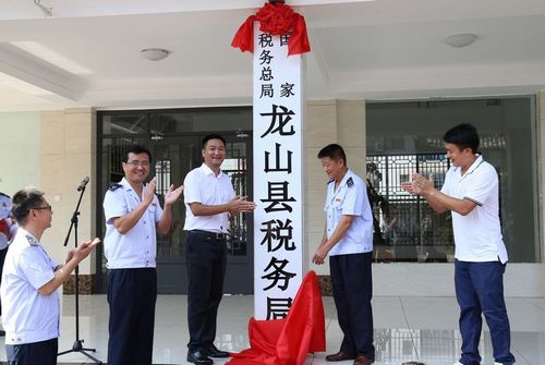 國家稅務總局龍山縣稅務局