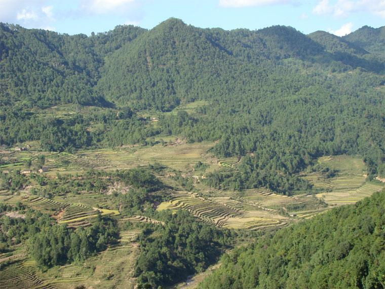 周家自然村(雲南省大理鶴慶縣松桂鎮三莊村委周家自然村)