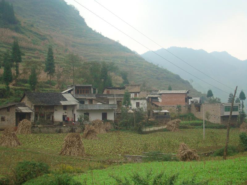 田坎自然村(扎西鎮小壩村民委員會下轄自然村)