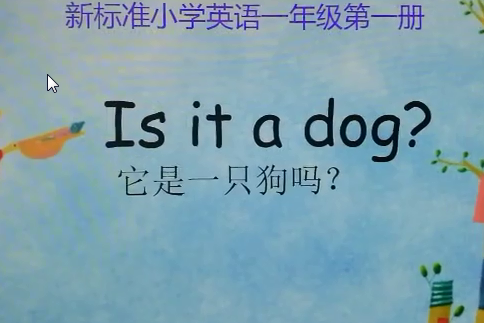 Is it a dog?