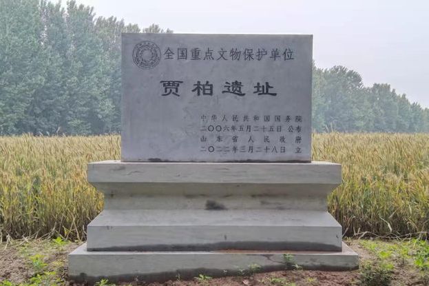 賈柏遺址(汶上賈柏遺址)