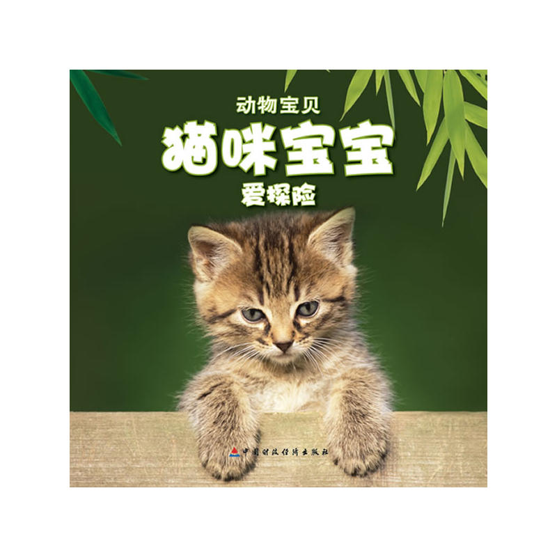 動物寶貝：貓咪寶寶愛探險