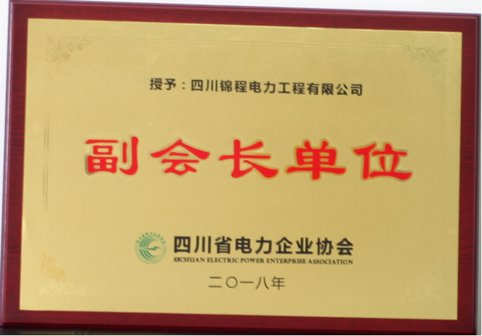 四川省電力行業副會長單位